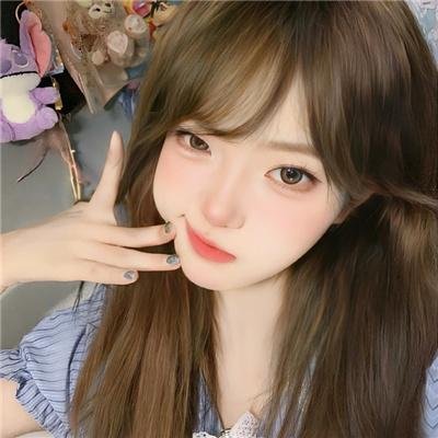风飞鲨